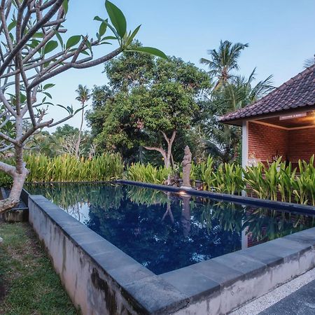 Dhiari Guest House Ubud  Exterior photo